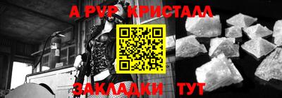 молекула духа Будённовск