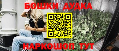 молекула духа Будённовск