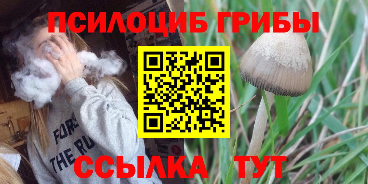 Курган  Галлюциногенные грибы GOLDEN TEACHER  Вход с VPN 